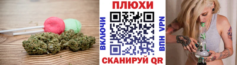 mega как зайти Стародуб Canna-Cookies марихуана где найти наркотики