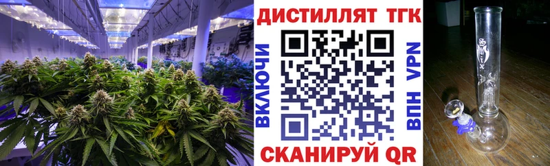 купить наркотики цена  ОМГ ОМГ зеркало  ТГК Wax  Стародуб 