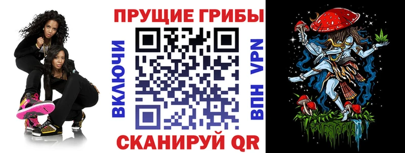 где можно купить   Стародуб  shop какой сайт  Галлюциногенные грибы мухоморы 